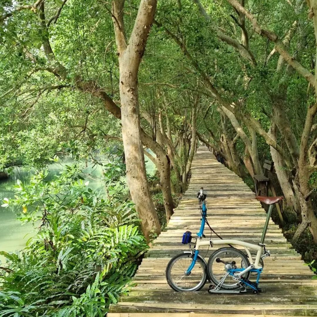 1. Hutan Mangrove Angke Kapuk.jpg