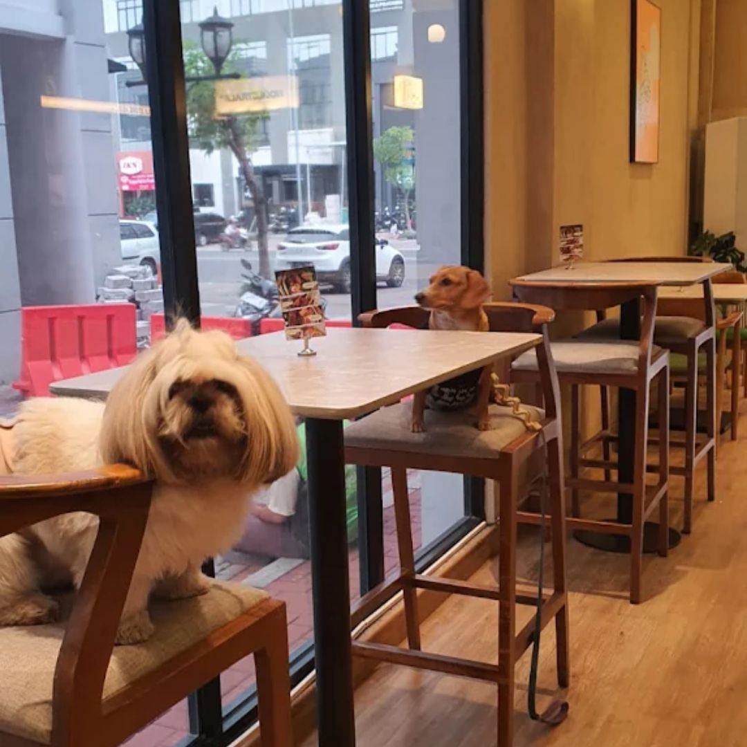 2. Navva Coffee House.jpg