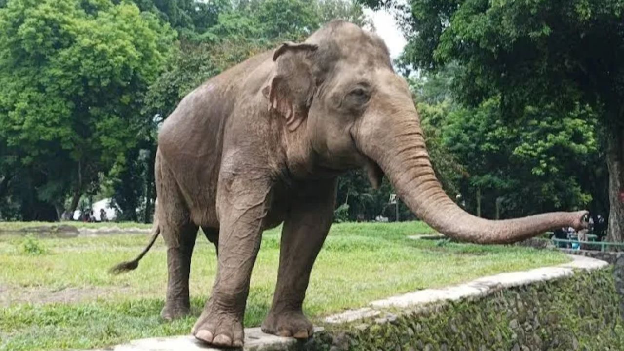 3. Ragunan Zoo.jpg