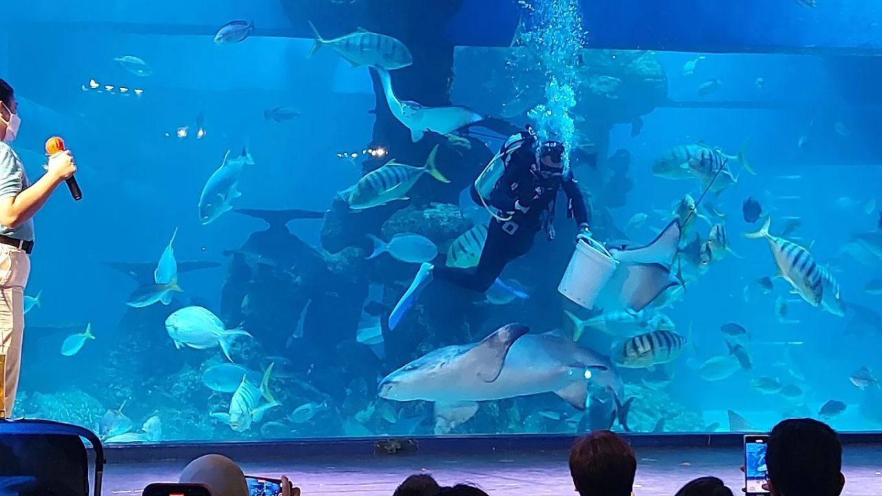 5. Jakarta Aquarium & Safari.jpg