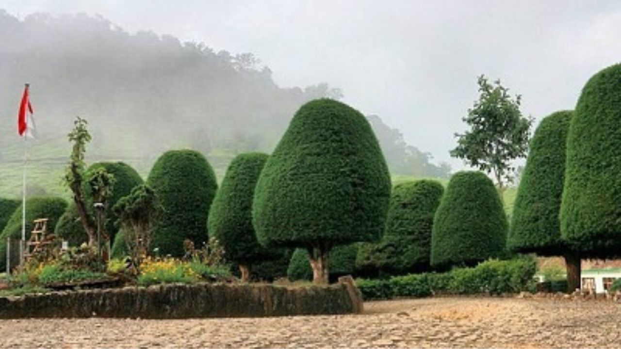 Bukit Jamur Rancabolang.jpg