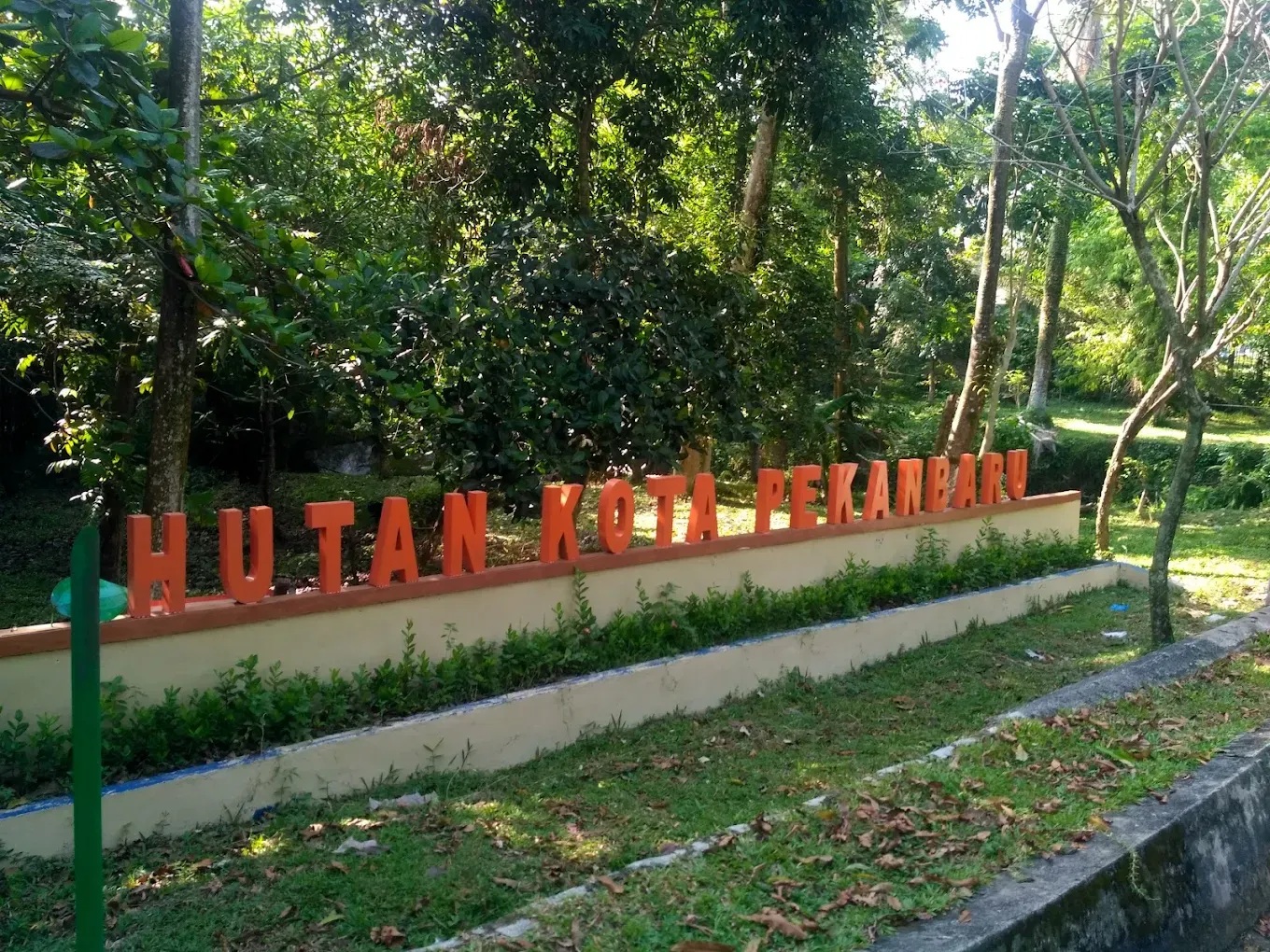 Hutan Kota Pekanbaru.jpg