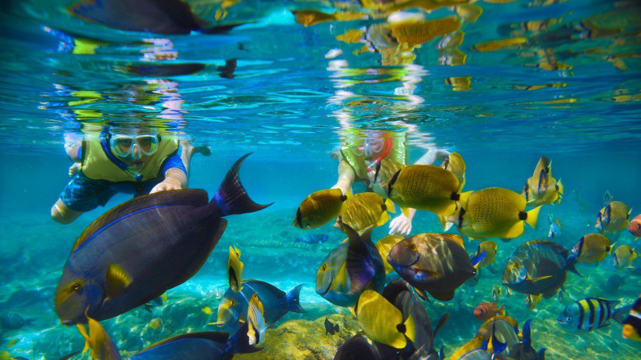 Jam Buka dan Harga Tiket Masuk Pantai Tiga Warna Malang.jpg