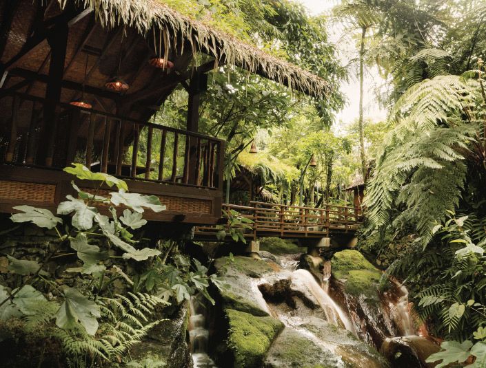 Kampung Daun Culture Gallery & Cafe.jpg