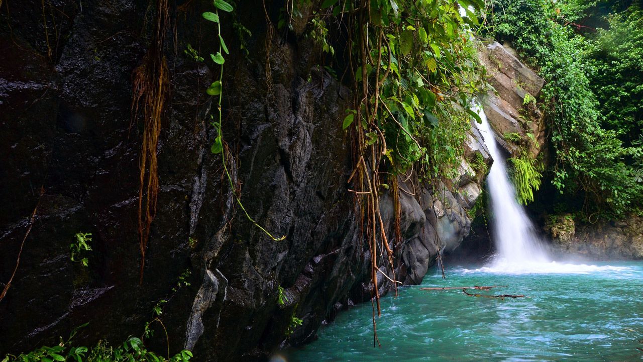 Lokasi dan Cara Menuju Air Terjun Way Lalaan.jpg