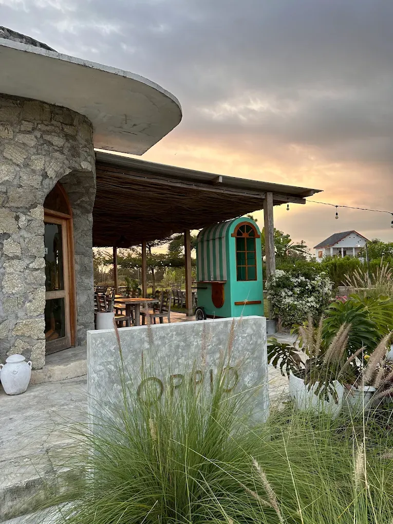 Oppio Coffee Milk.webp