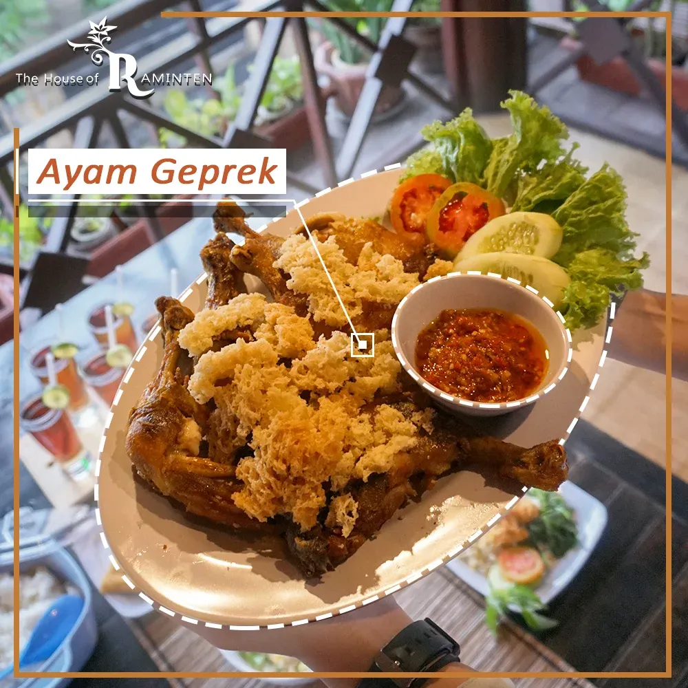 The House of Raminten.webp