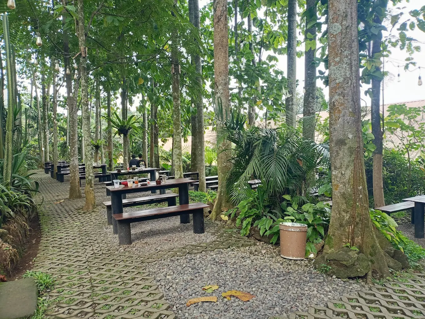 cafe estetik di trawas, alas trawas.webp