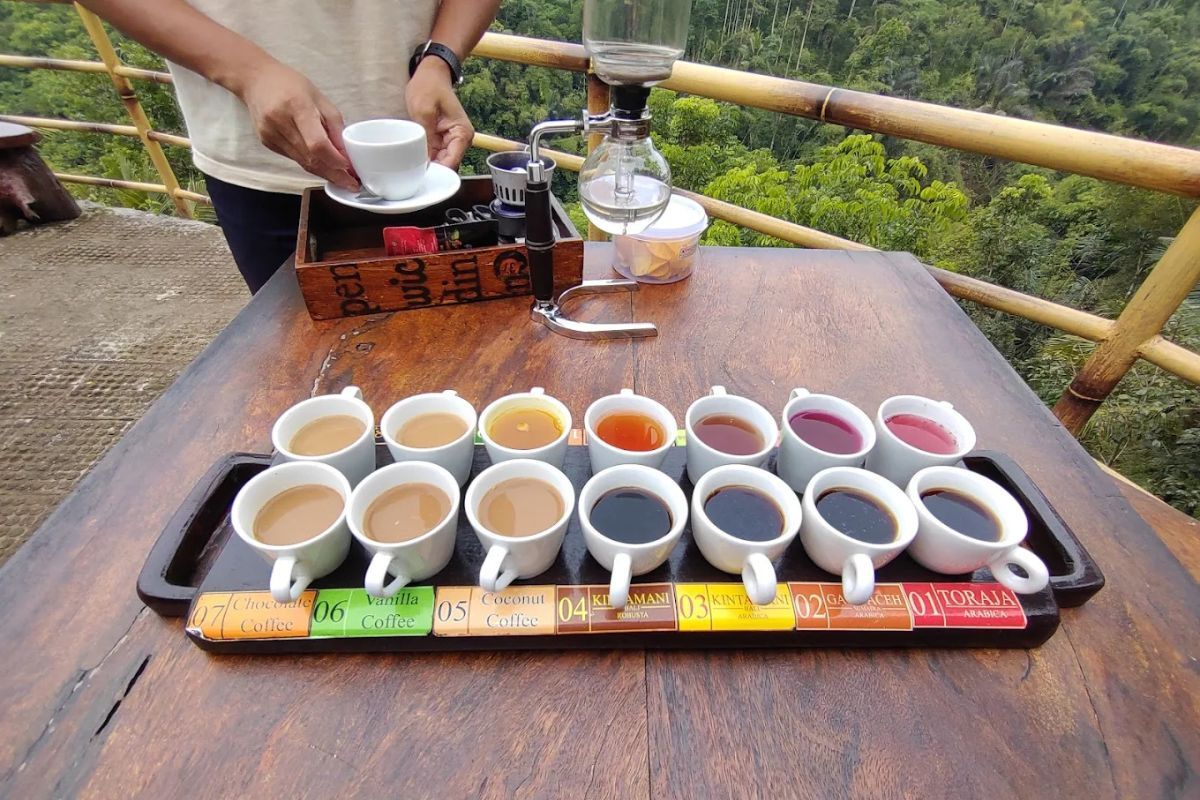 daya tarik segara windhu coffee plantation
