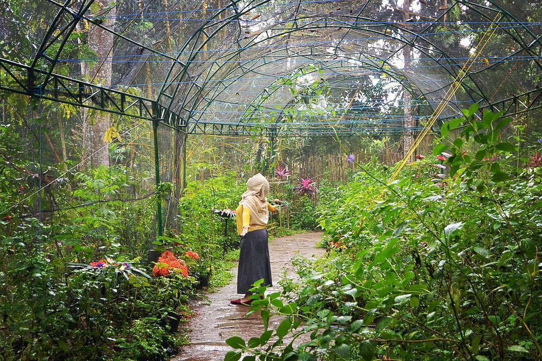 gita persada butterfly park.jpg