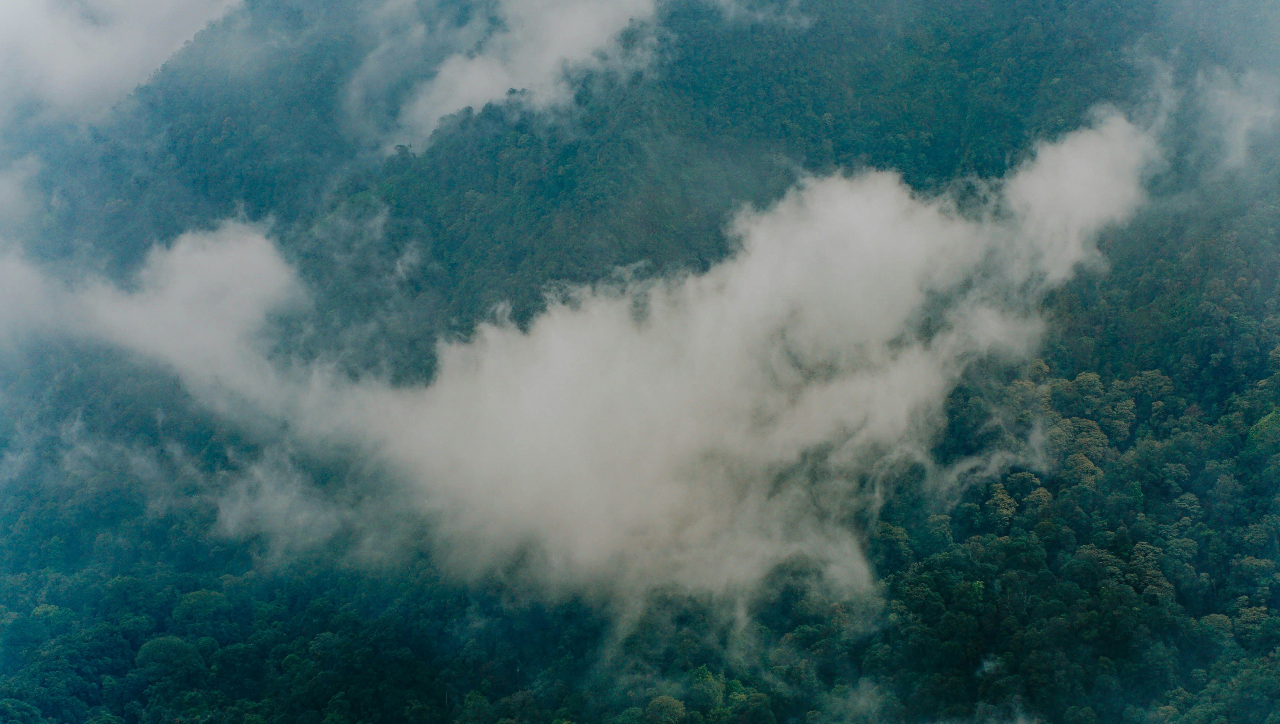gunung burangrang.jpg