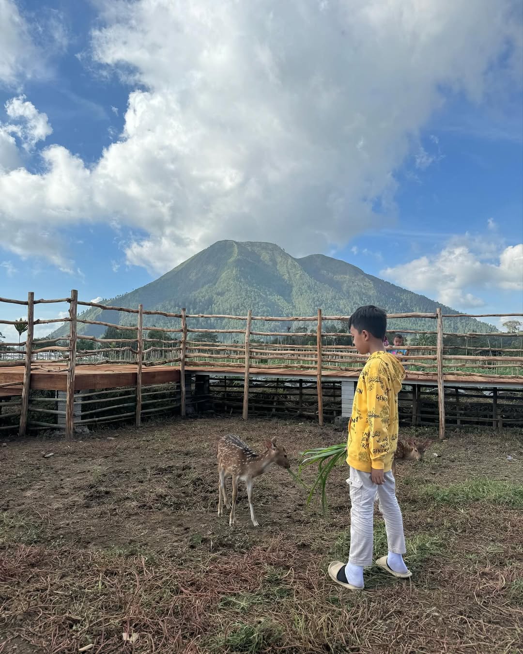 hutan desa kragon.jpg