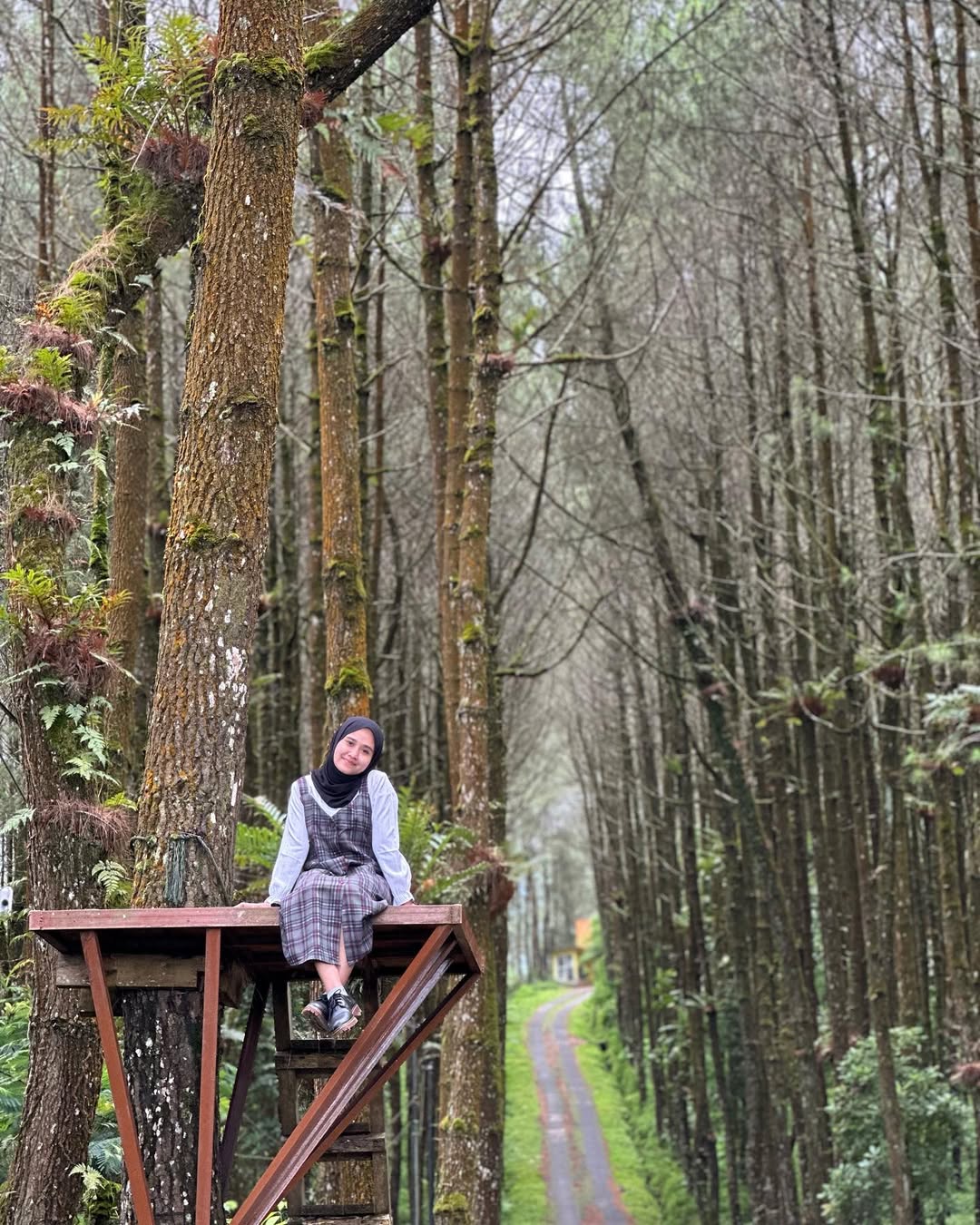 hutan pinus kragilan.jpg