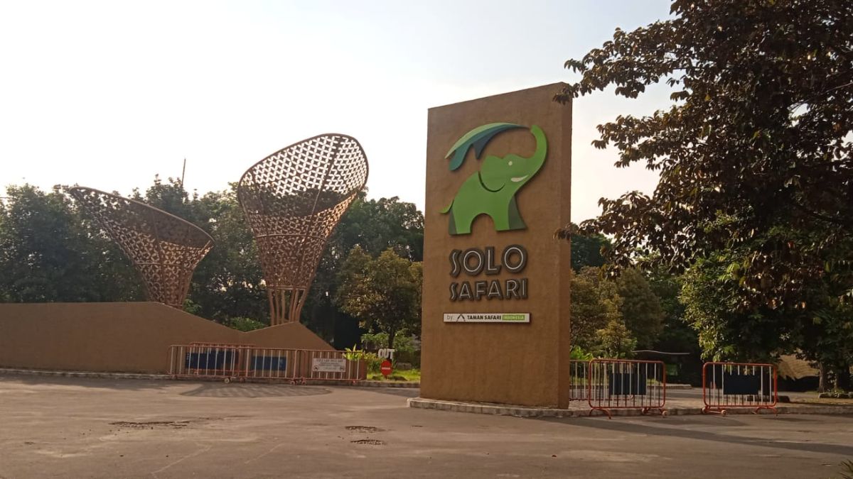 solo safari cover.jpg