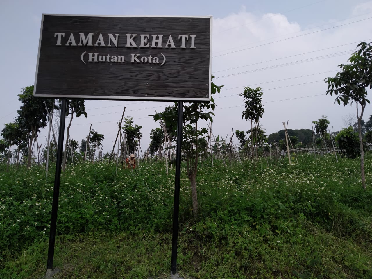 taman kehati.jpeg