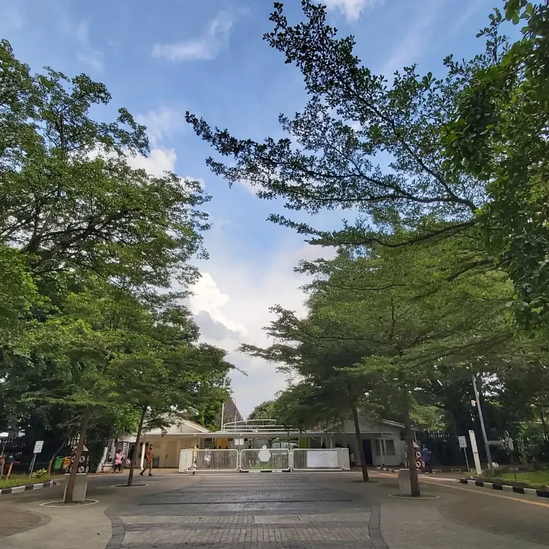 taman lalu lintas.jpg