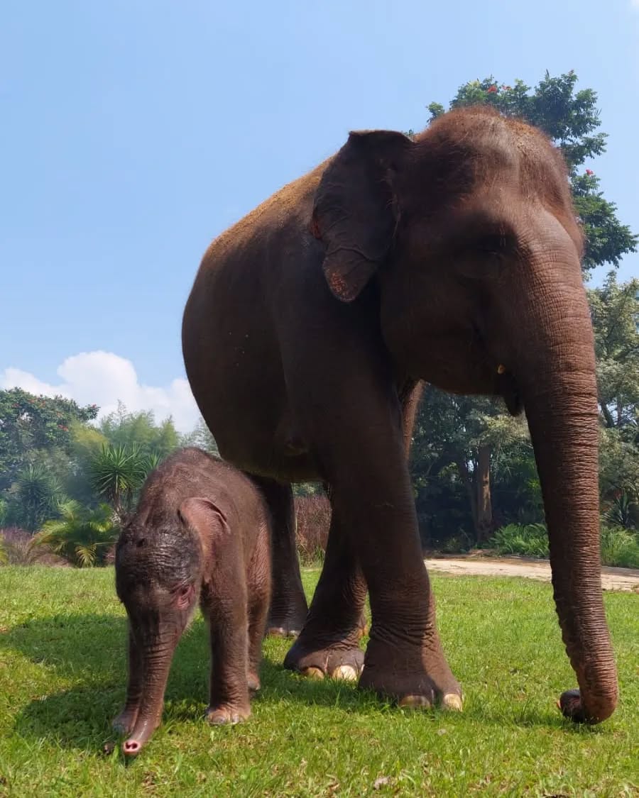 tempat wisata di bandar lampung selain pantai, taman wisata lembah hijau.jpg