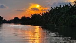 Pantai Ketingan Sidoarjo, Surga Tersembunyi dengan Pesona Alam dan Tradisi
