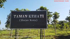 Taman Kehati Cimahi: Alternatif Destinasi Wisata Keluarga yang Edukatif 