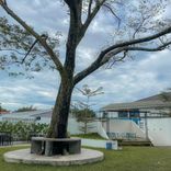 8 Cafe Dekat USU Terbaik, Nyaman dan Estetik