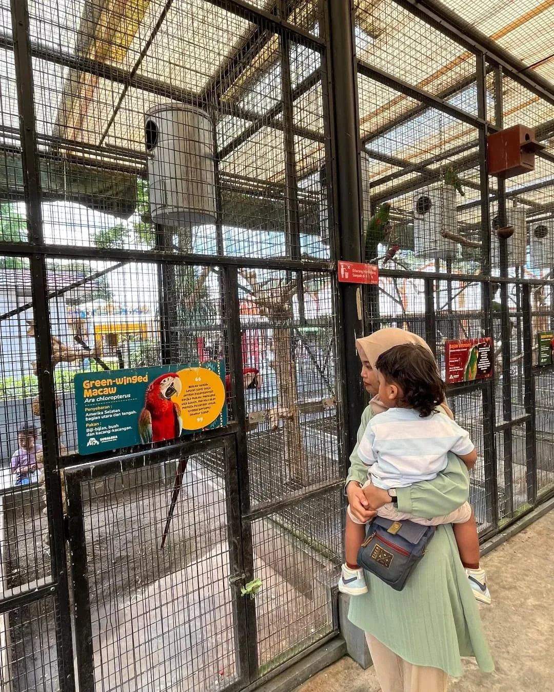 wisata kaliurang untuk anak, suraloka interactive zoo.jpg