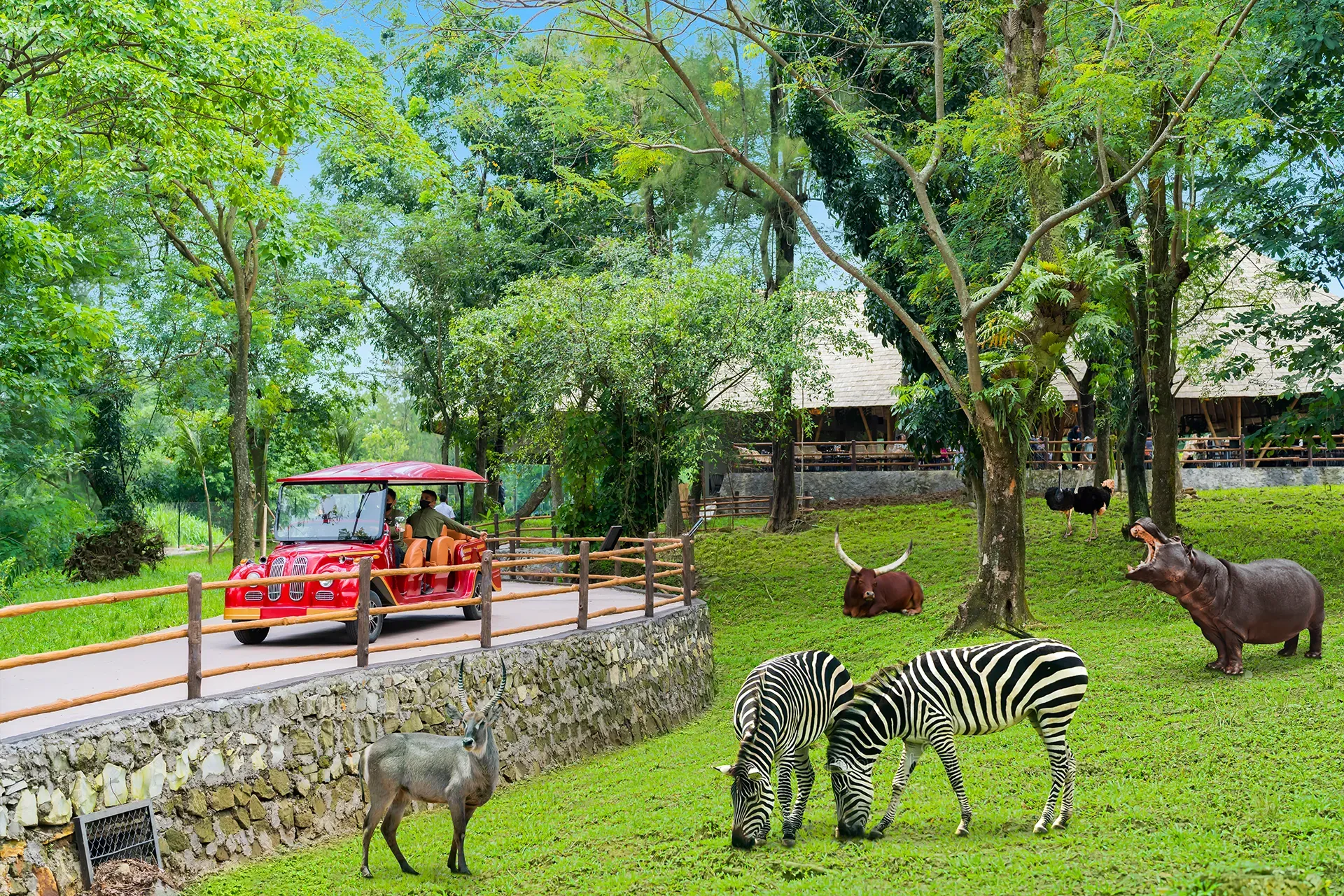 wisata solo safari.jpg